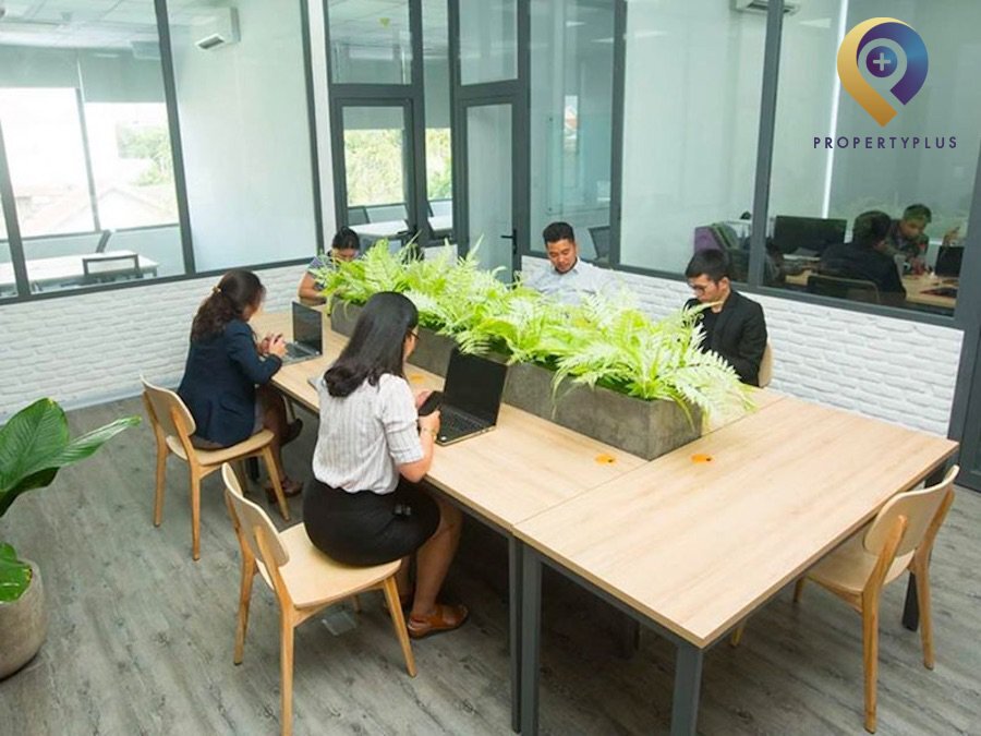 MindX Thảo Điền